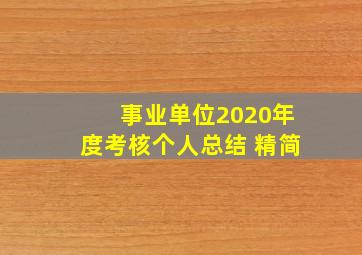 事业单位2020年度考核个人总结 精简